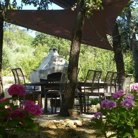 Le Vallon Des Oliviers Montauroux Εξωτερικό φωτογραφία