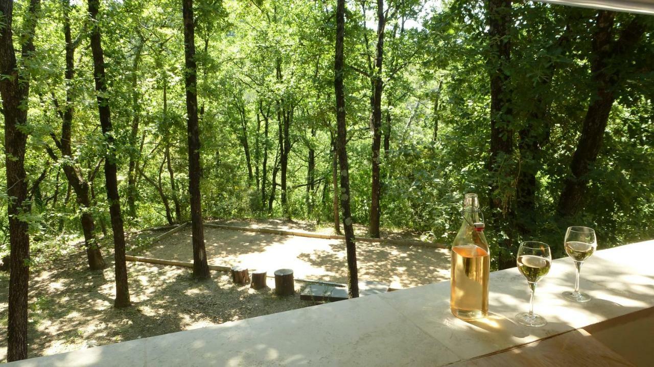 Le Vallon Des Oliviers Montauroux Εξωτερικό φωτογραφία