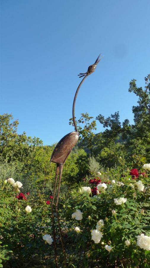 Le Vallon Des Oliviers Montauroux Εξωτερικό φωτογραφία