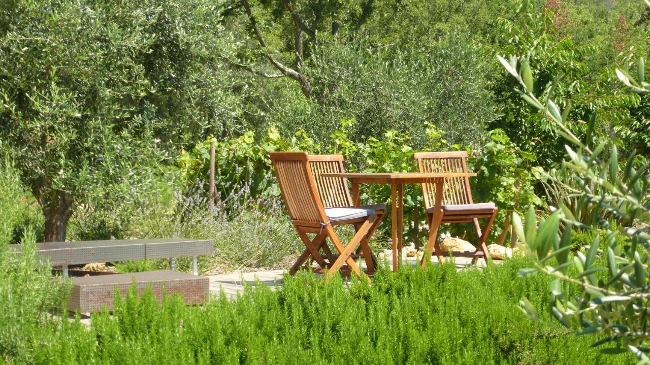 Le Vallon Des Oliviers Bed and Breakfast Montauroux Εξωτερικό φωτογραφία