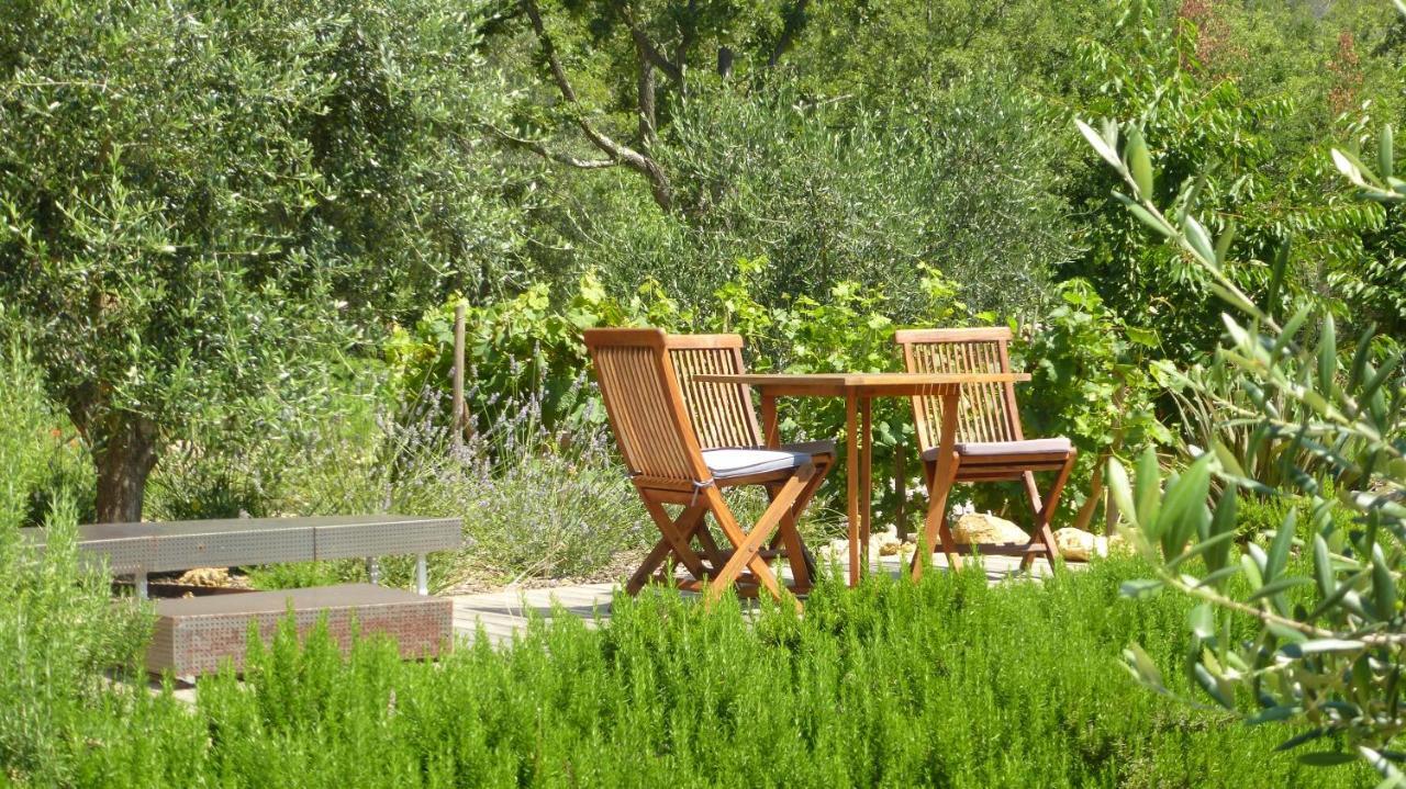 Le Vallon Des Oliviers Montauroux Εξωτερικό φωτογραφία